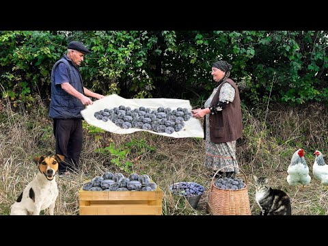 Видео: Готовим Варенья из Свежих Чернослив. Сушим Чернослив на Зиму.