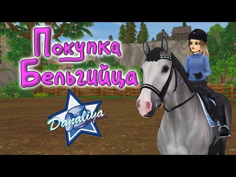 Видео: Покупка Бельгийской теплокровной - Belgian Warmblood |Star Stable Online|