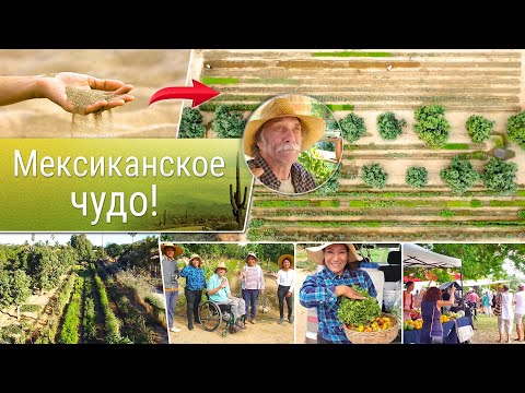Видео: Мексиканское чудо! Ферма Алана Чедвика!