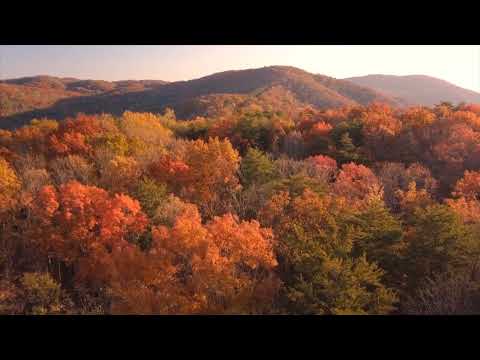 Видео: Последняя поэма - песня из к/ф Вам и не снилось Cover by Green Sun