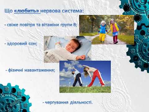 Видео: Нервова система людини (3 клас)
