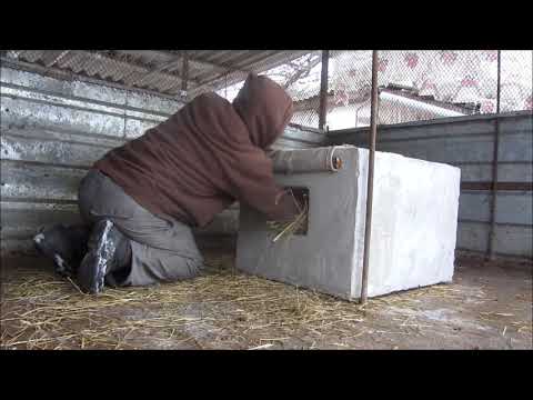 Видео: Ягдтерьеры зимой.