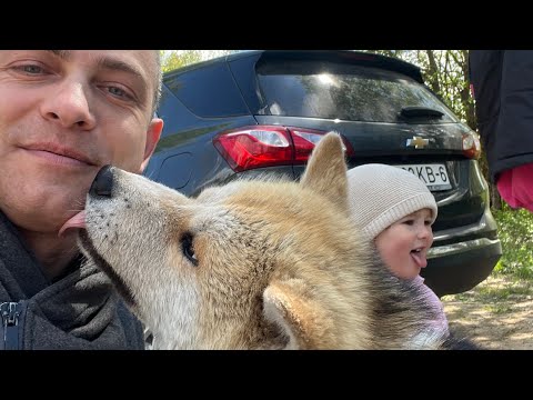 Видео: БЕЛОРУССКИЕ АМИШИ