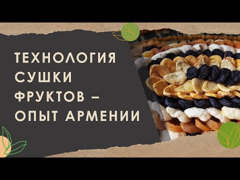 Видео: 3. Технология сушки фруктов – опыт Армении