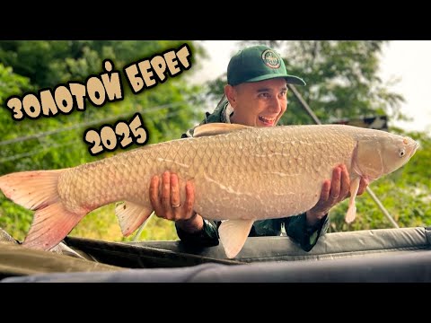 Видео: ЗОЛОТОЙ БЕРЕГ 2025! Амур 13+!!! Жесть...Закормили КРАСНОЙ ИКРОЙ!