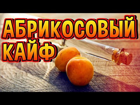 Видео: ШИКАРНЫЙ АБРИКОСОВЫЙ БРЕНДИ #мужскоехобби #самогон #бренди #обзор #домашнийвиски