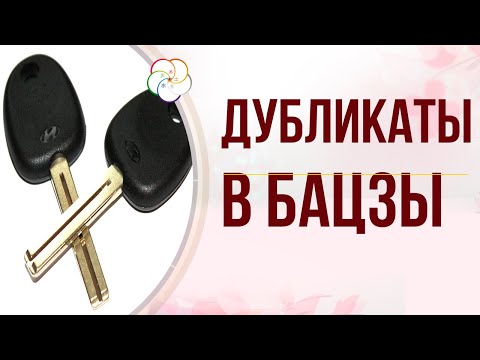 Видео: БАЦЗЫ:  Дубликаты и антидубликаты в астрологической карте