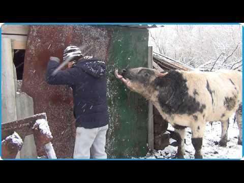 Видео: ДАВНО НУЖНО БЫЛО ЭТО СДЕЛАТЬ А У НАС КАК ОБЫЧНО....ЖИЗНЬ В ДЕРЕВНЕ