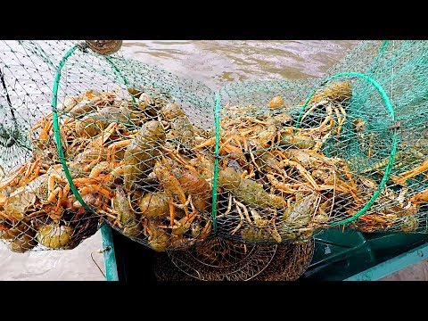 Видео: Раки! Как и на Что Ловить Раков Ранней Весной! Немного Хитрости и Секрета! #РакиFISHINGPRO