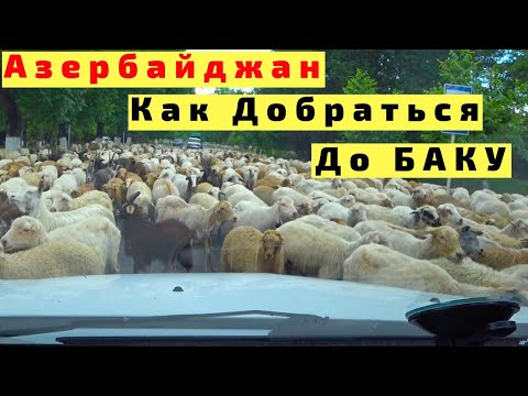 Видео: Азербайджан от Границы до Баку на Машине с Детьми. Ночной Баку