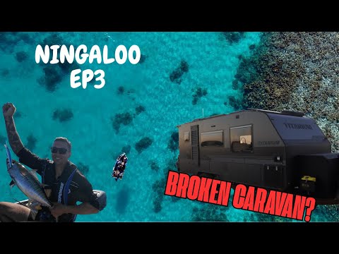 Видео: ЭПИЧЕСКИЙ КЕМПИНГ НИНГАЛУ I Приключения на станции Буллара + Драма в караване