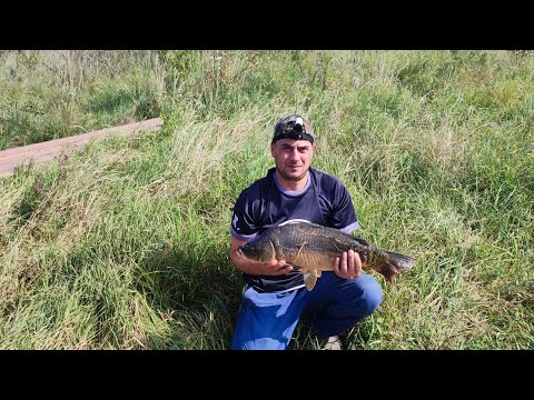 Видео: Карп зайшов на точку. Обривають поводки 