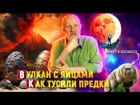 Видео: Луна раздора, алмаз из преисподней, кто выжил в открытом космосе | Новости науки