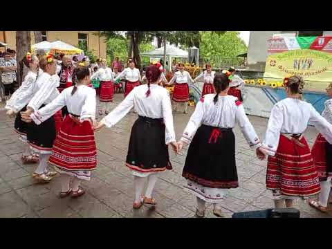 Видео: ТФ "Липник" с.Николово