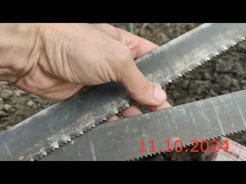 Видео: Прививка Винограда используя Пилы