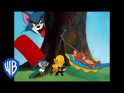 Видео: Том и Джерри | Классический мультфильм 102 | WB Kids
