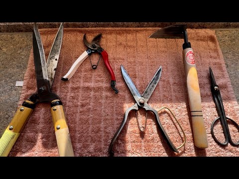 Видео: КАК ВЫГЛЯДЯТ ЯПОНСКИЕ ИНСТРУМЕНТЫ ЧЕРЕЗ НЕСКОЛЬКО ЛЕТ? СТОИТ ЛИ БРАТЬ? ЧИСТКА, ЗАТОЧКА!