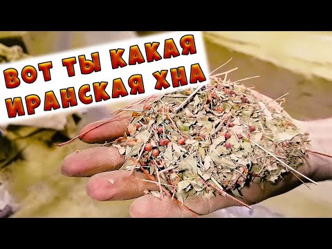 Видео: Как и из чего делают хну?🌿Хна иранская🌿Путешествия по Ирану🌿