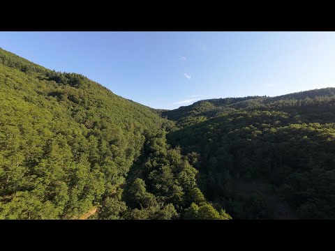 Видео: Застава село Аврен  08.06.2024 година