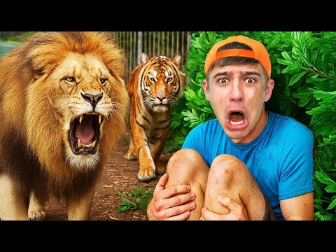 Видео: 24 Часа в Зоопарке!