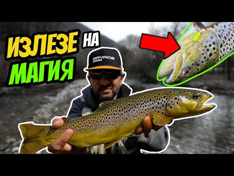 Видео: ЩЕ ЗАПОМНЯ ТОЗИ ИЗЛЕТ! ТРОФЕЙНИ БАЛКАНКИ на МАЛКА река! Риболов на БАЛКАНСКА ПЪСТЪРВА