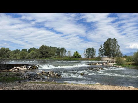Видео: За кефали на река Струма 