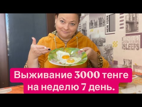 Видео: Выживание 3000 тенге на неделю. 7 день. Эксперимент в Казахстане. 31 .10.2024г