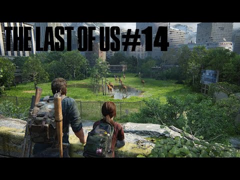 Видео: Прохождение The Last Of Us #14