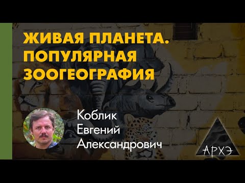 Видео: Евгений Коблик: "Природная среда и её обитатели"