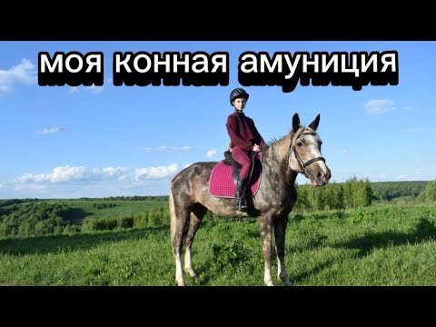 Видео: МОЯ КОННАЯ АМУНИЦИЯ