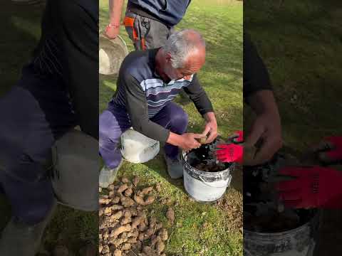 Видео: 16 март 2025 г.