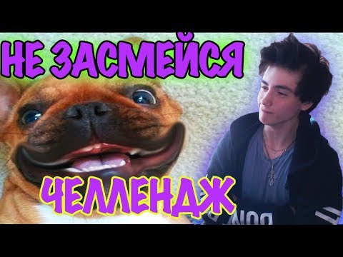 Видео: САМОЕ СМЕШНОЕ ВИДЕО В МИРЕ | ТЕСТ НА ПСИХИКУ ПОПРОБУЙ НЕ ЗАСМЕЯТЬСЯ | TRY NOT TO LAUGH | НЕ ЗАСМЕЙСЯ