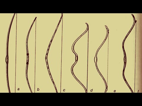 Видео: Длинный лук всегда точнее и мощнее всех остальных. Сравнение по точности