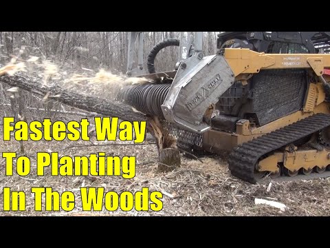 Видео: Создание кормовых участков в лесу с целью привлечения большего количества оленей