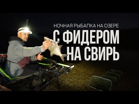 Видео: Фидер на Свири. Ночная рыбалка в разгар бабьего лета. Почему не клюет лещ