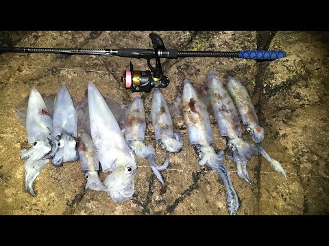 Видео: Ночная джиговая ловля кальмаров — ловля кальмаров на джиг в Великобритании — рыбалка на приманку ...