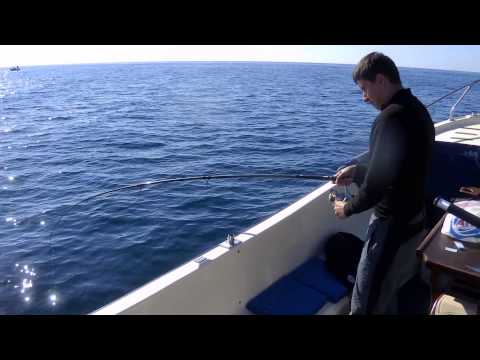 Видео: Балаклава осенью, луфарь и селедка 04.10.2014г