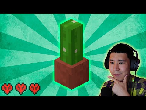 Видео: Кактус іздеуге кеттім ✅