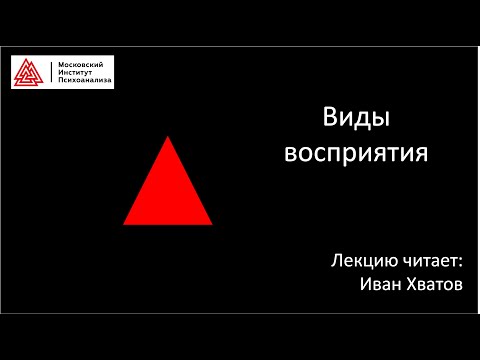 Видео: 03. Виды восприятия (17 февраля 2023)