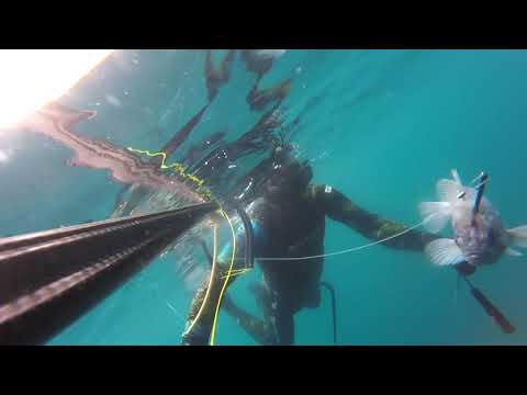 Видео: Приморский край город Находка. Рица подводная охота 2017 тёмный окунь.