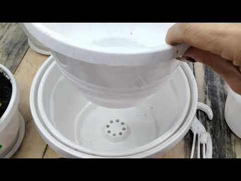 Видео: #279.Кашпо,контейнеры,горшки,которые использую для выращивания пеларгоний. Где покупаю,цены.