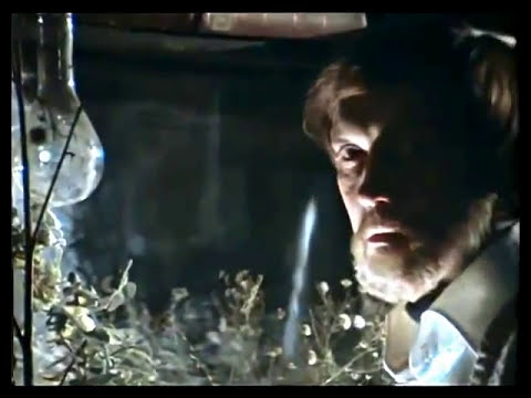 Видео: Песня волшебника (из кинофильма "Обыкновенное чудо")