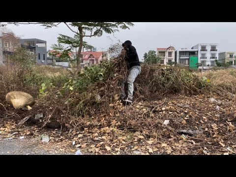 Видео: Шокирующее Спасение – Очистка Двух Тротуаров от Сорняков в Центре Города.