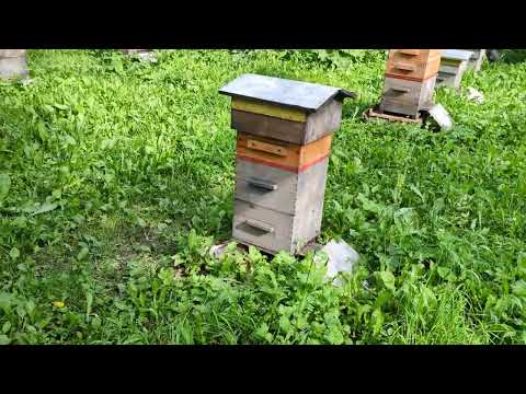 Видео: Пенсию не зря дают .