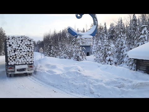 Видео: Рабочие моменты. Вольво не вытянул подъем. #лесовоз