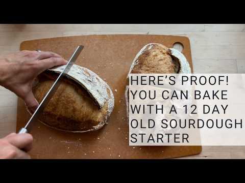 Видео: Достаточно ли сильна моя закваска для выпечки? Зрелая закваска против молодой — почувствуйте разн...