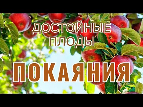 Видео: Достойные плоды покаяния