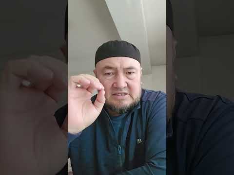 Видео: Бак отургузуу идеяны колдогула Орто Азиянын арстандары...