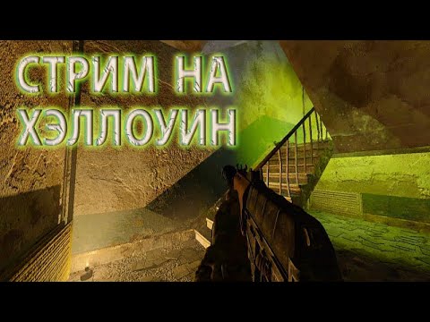 Видео: СТРИМЛЮ STALKER Anomaly H.A.Z.E на Хэллоуин  #стрим #games #игры