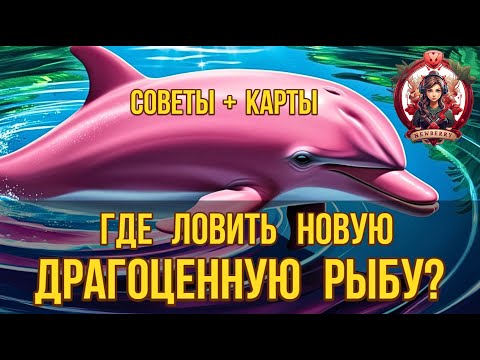 Видео: [BDO] 🎣 НОВЫЕ ДРАГОЦЕННЫЕ РЫБКИ: КАРТЫ С МЕСТАМИ И РЕКОМЕНДАЦИИ ДЛЯ РЫБАКОВ! #bdo #fish
